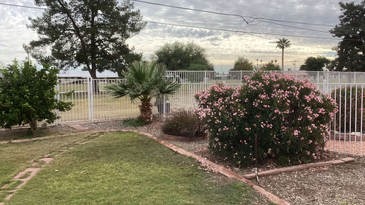 Photo of Outdoor in Sun City