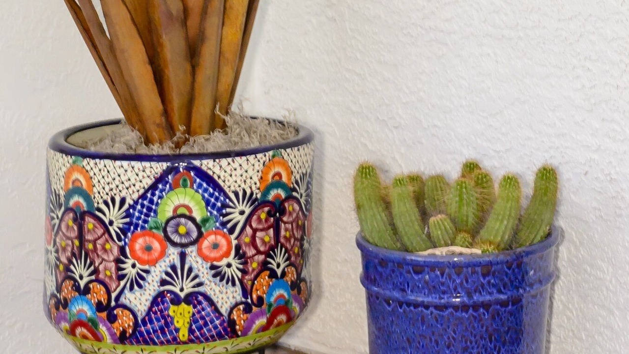 Photo of Others in Casa Paloma I
