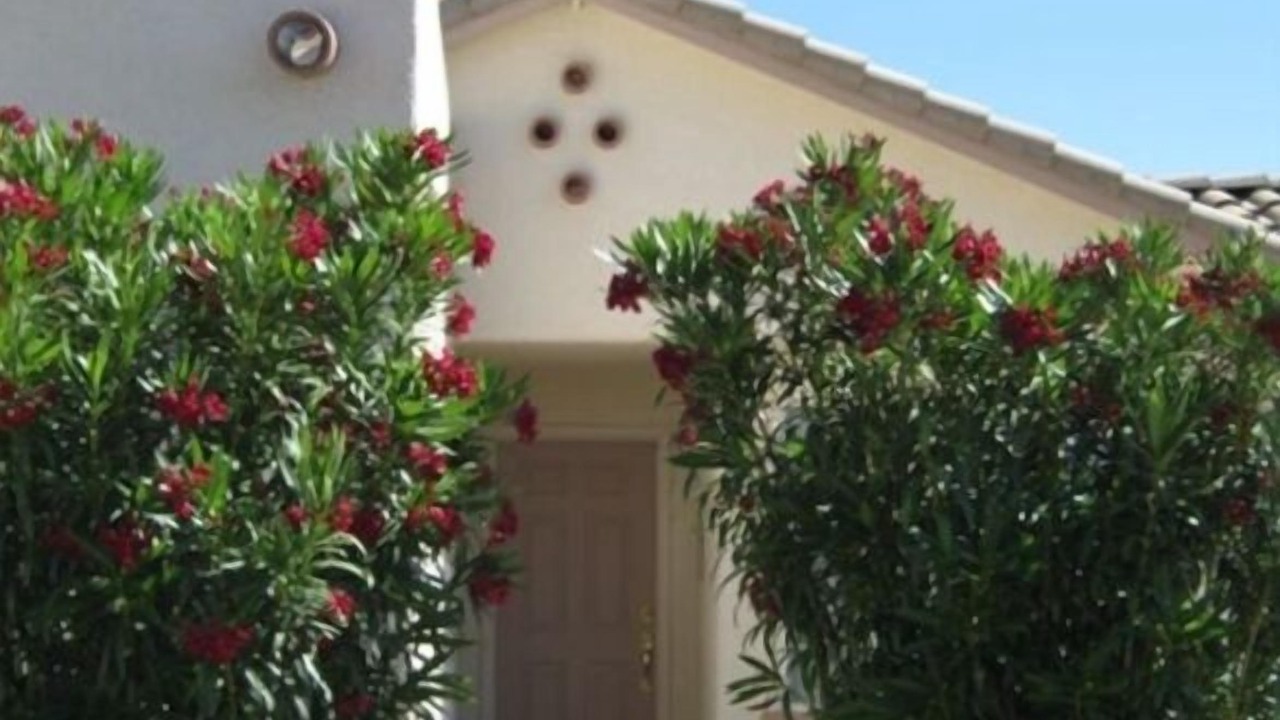 Photo of Bedroom in Rio Rico