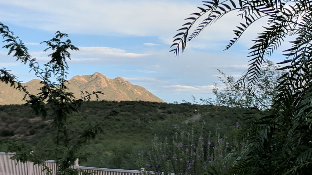 Photo of Others in Rio Rico