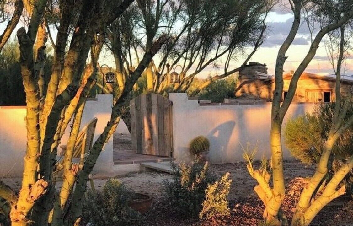 Photo of Others in Tortolita