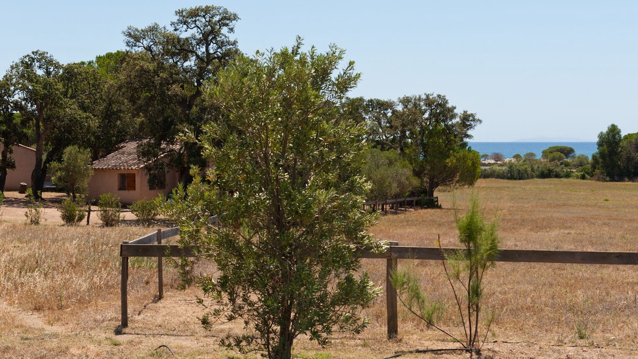Photo of Outdoor in Hameau de Palombaggia