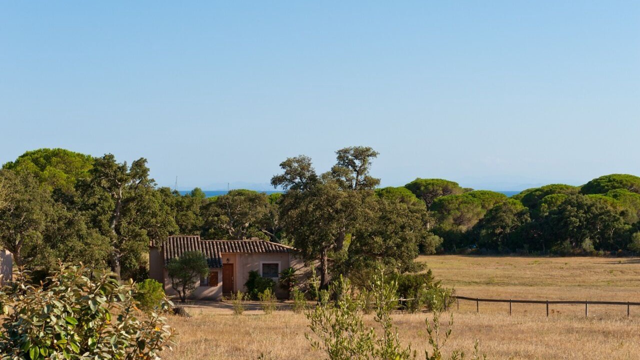 Photo of Outdoor in Hameau de Palombaggia
