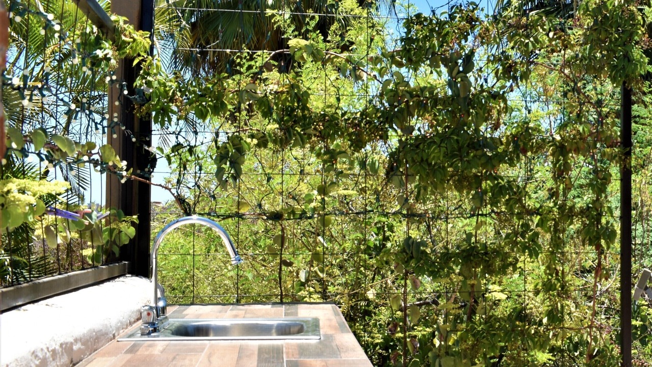 Photo of Outdoor in Cabo Bello