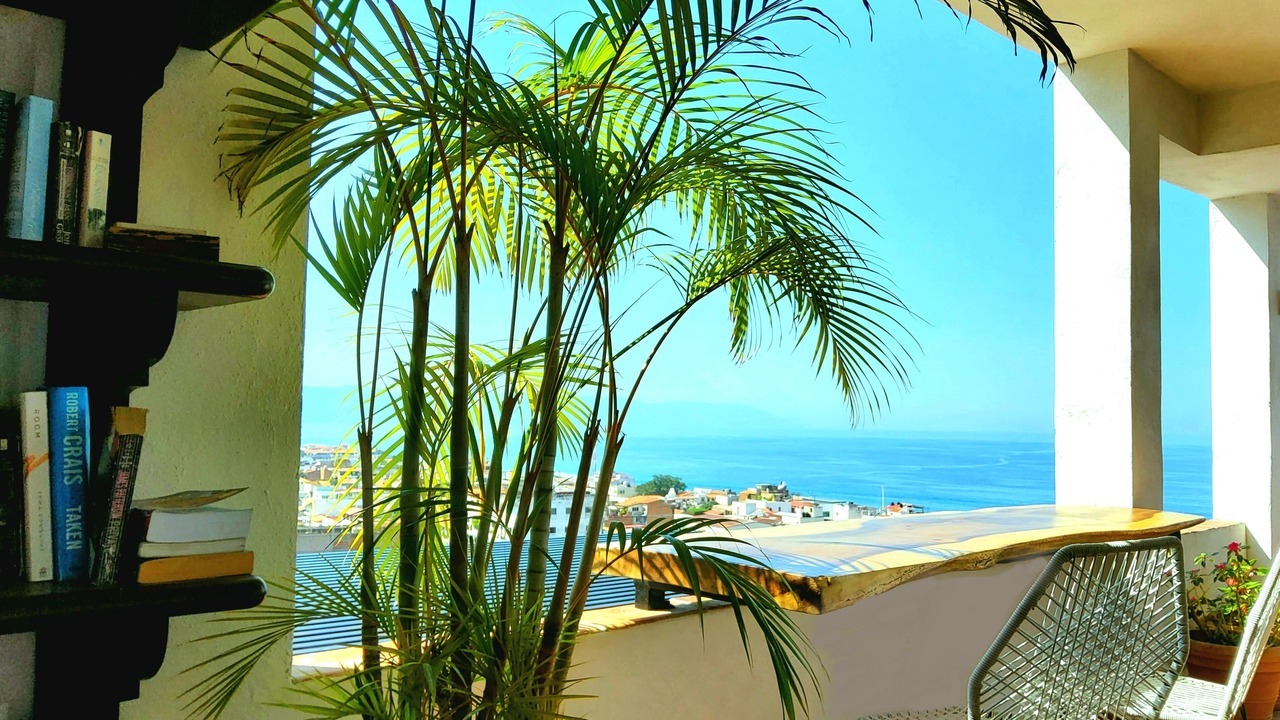 Photo of Outdoor in Downtown Puerto Vallarta