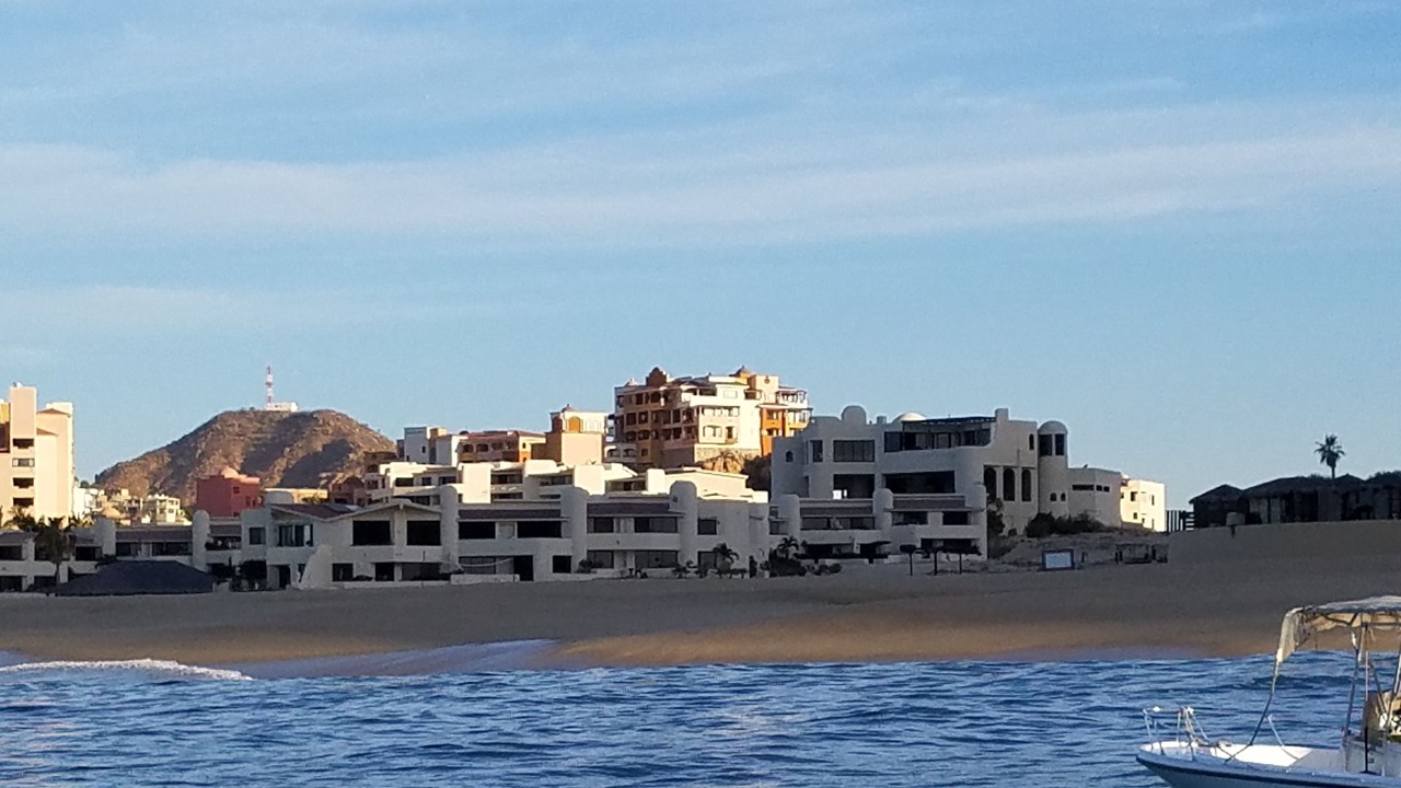 Photo of Others in Marina
