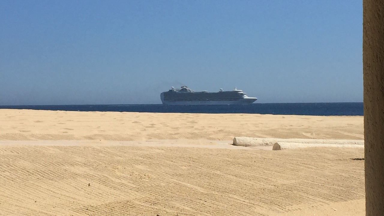 Photo of Others in Marina