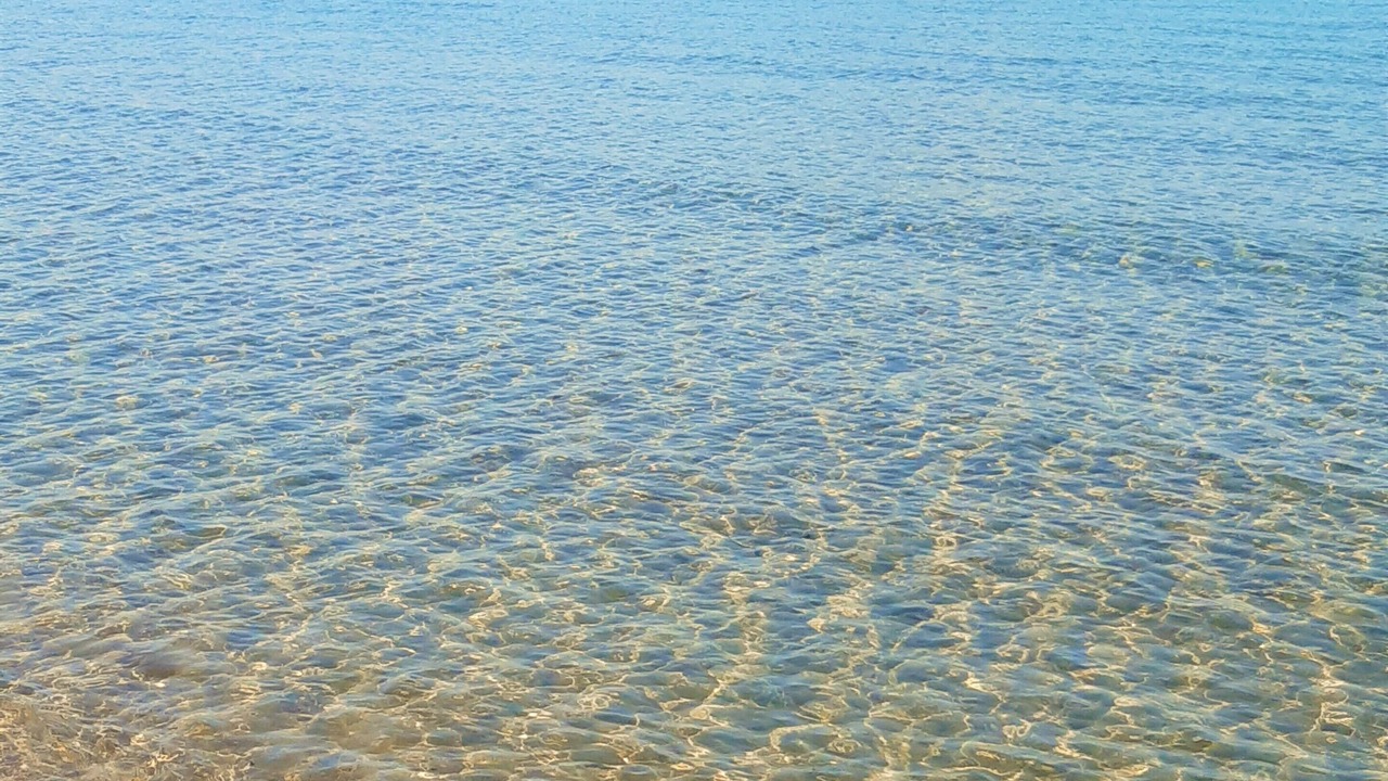 Photo of Others in Calvi