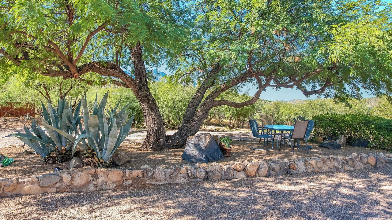 Photo of Outdoor in Tucson