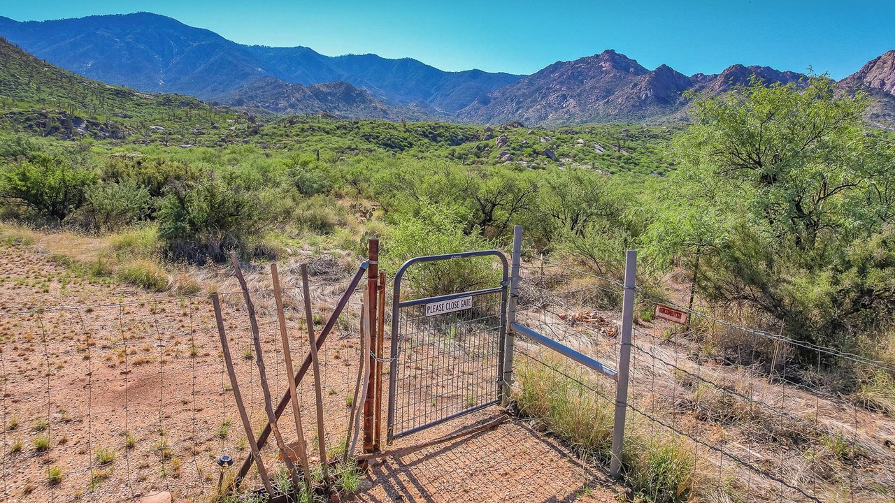 Photo of Others in Tucson