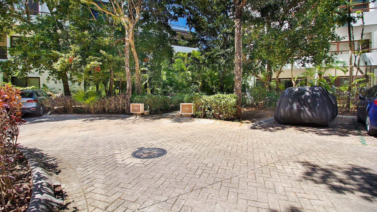 Photo of Outdoor in Akumal