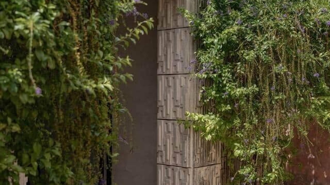 Photo of Outdoor in Barrio de Santiago