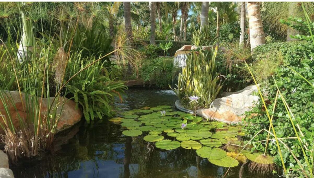 Photo of Outdoor in Cerritos
