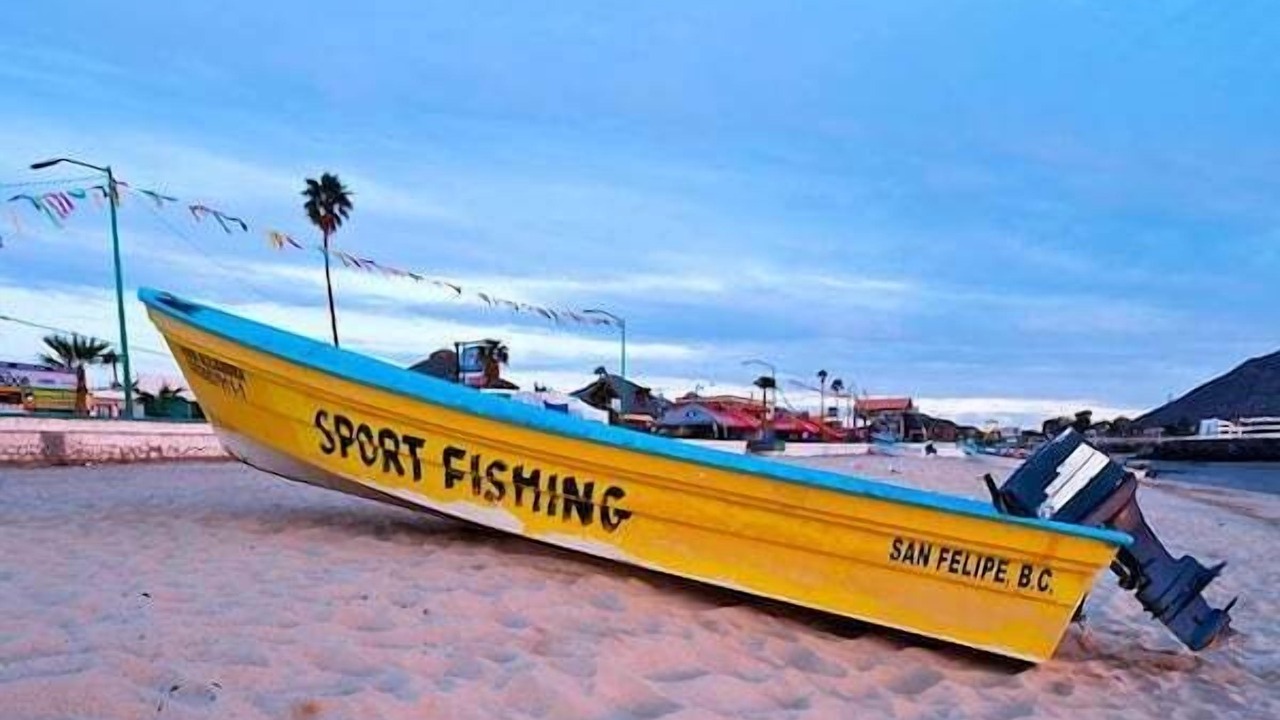 Photo of Others in San Felipe