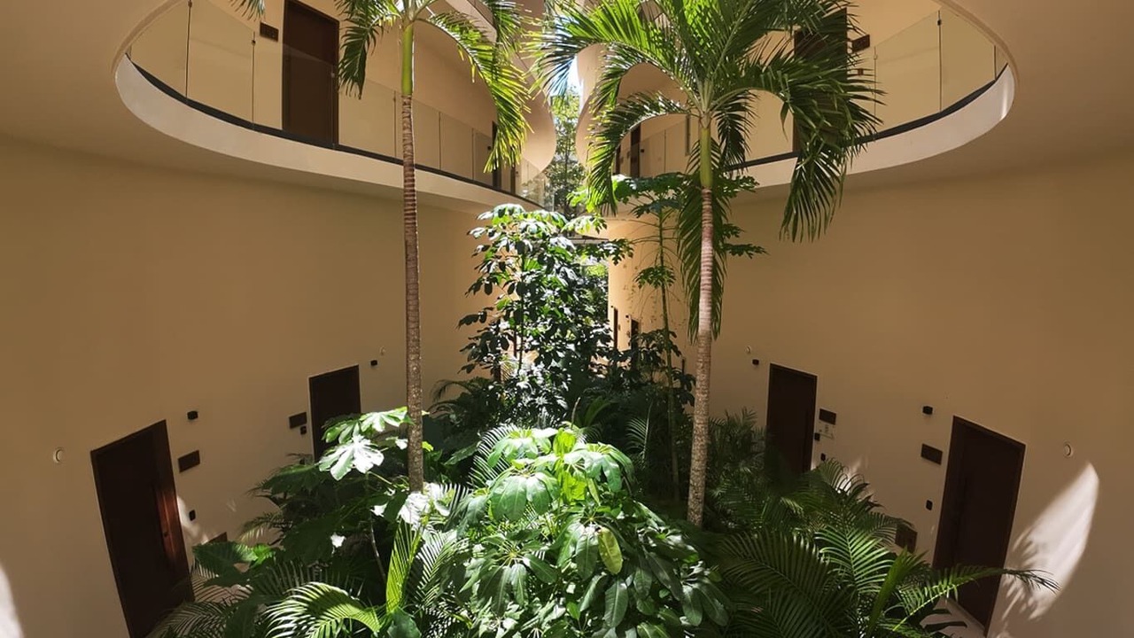 Photo of Outdoor in Tulum