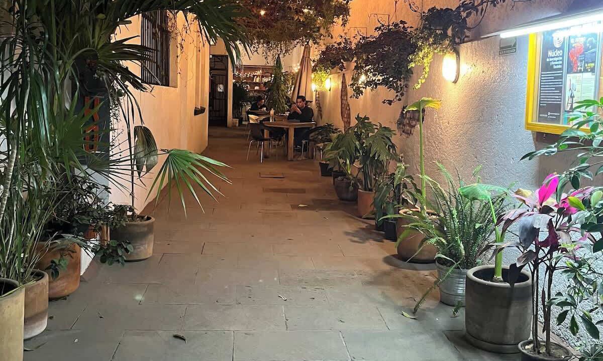 Photo of Outdoor in La Condesa