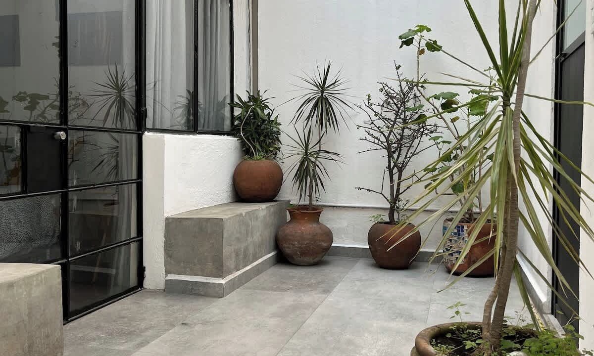 Photo of Outdoor in La Condesa