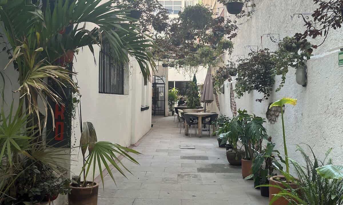 Photo of Outdoor in La Condesa