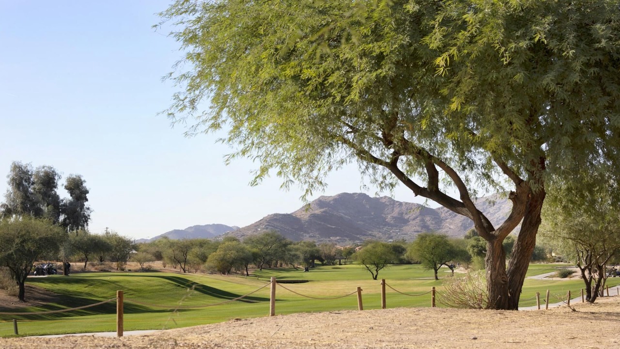Photo of Others in South Scottsdale
