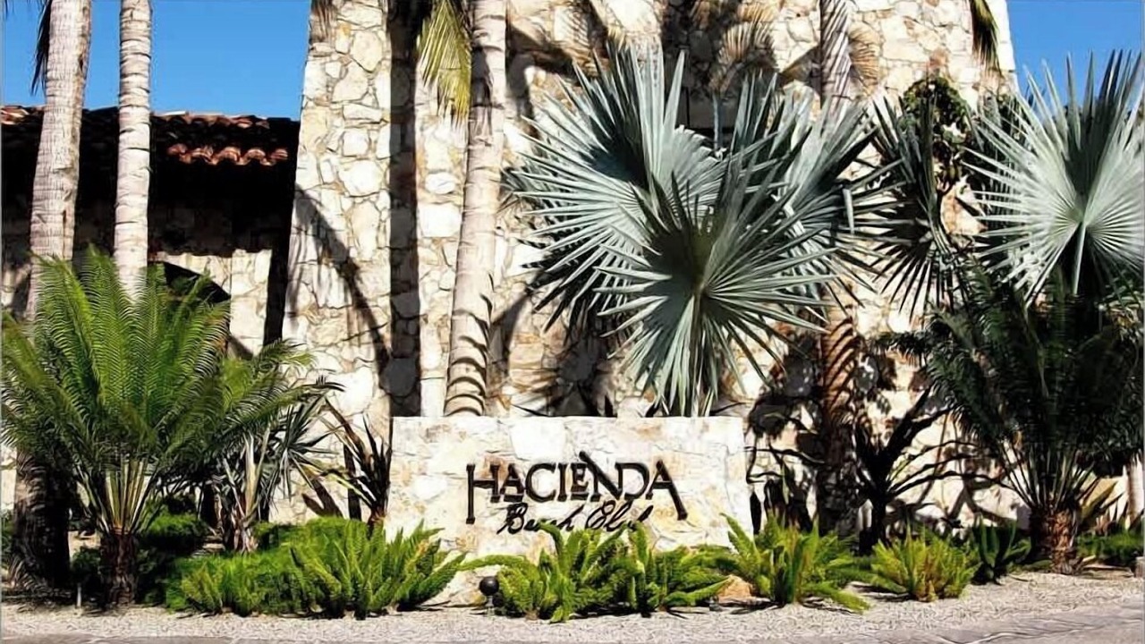 Photo of Others in El Medano Ejidal