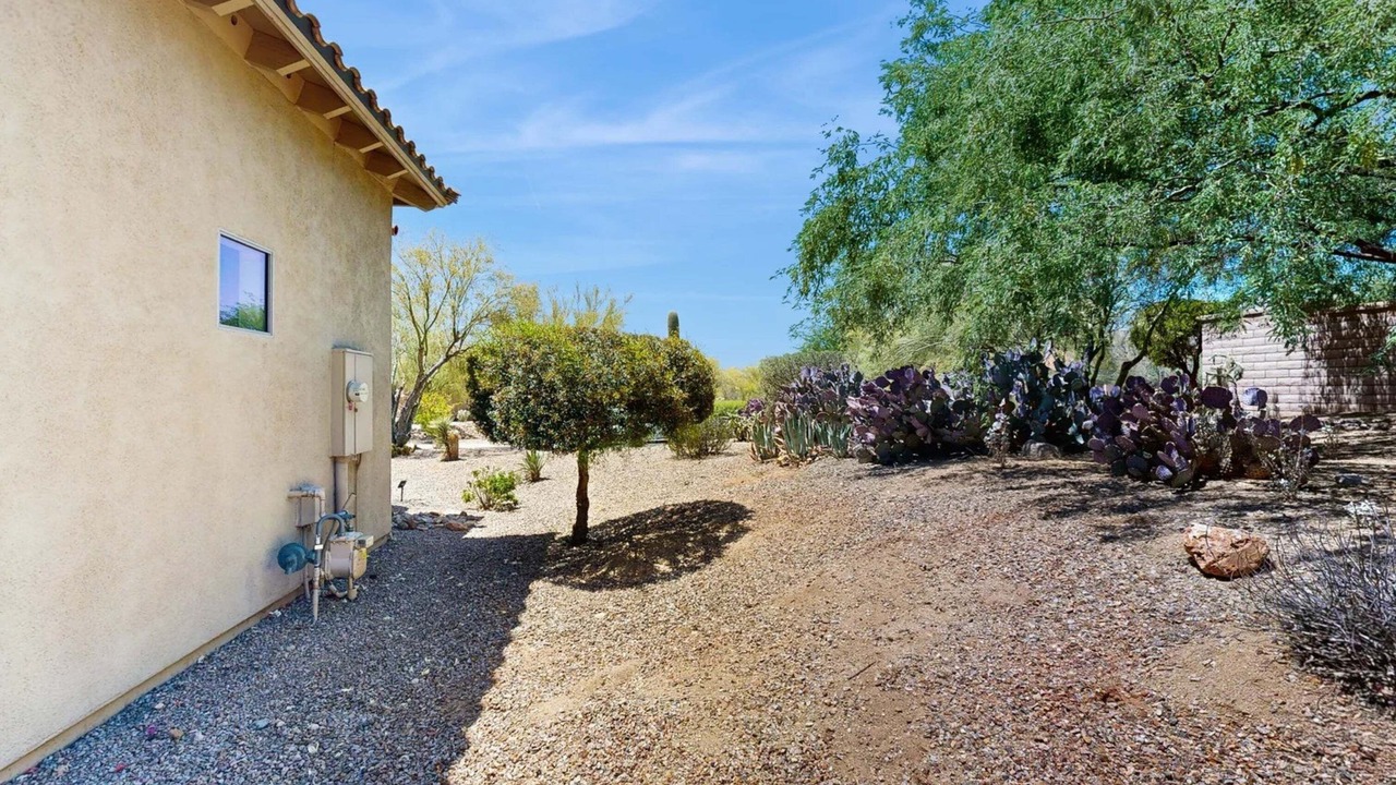 Photo of Outdoor in Dove Mountain