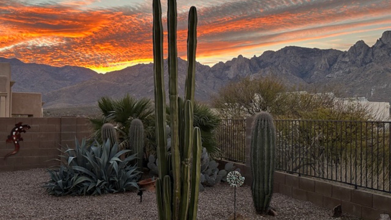 Photo of Outdoor in Catalina Shadows Estates