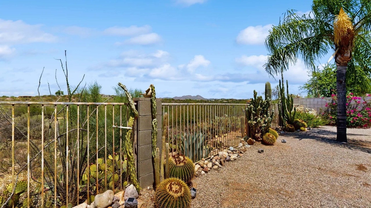 Photo of Outdoor in Rancho Vistoso