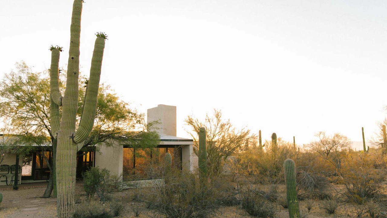 Photo of Others in Tucson