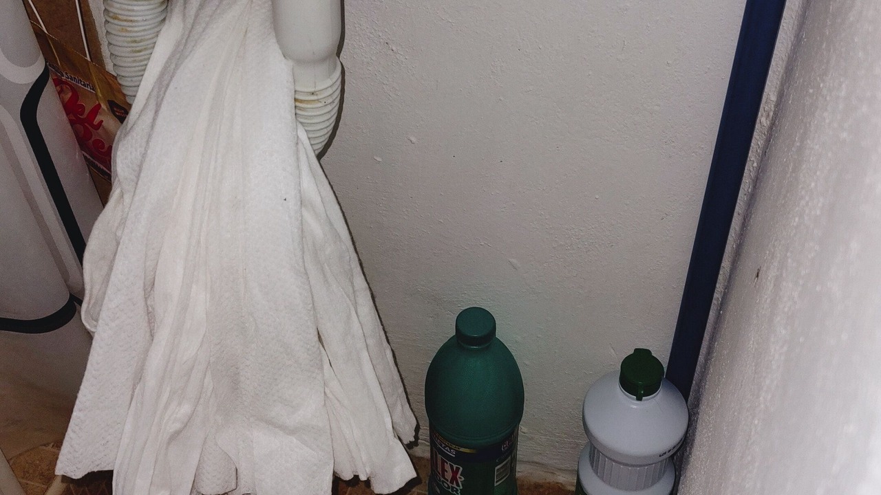 Photo of Bathroom in Campeche
