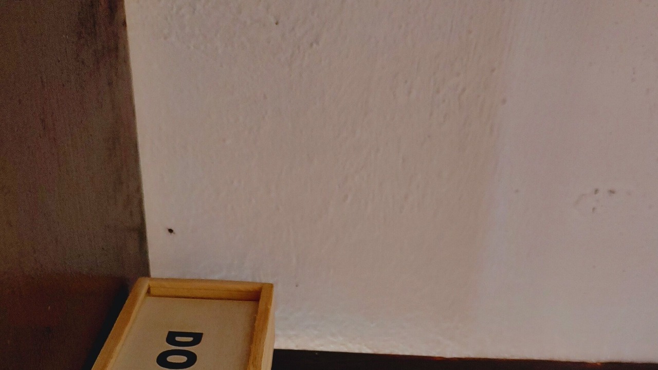 Photo of Others in Campeche