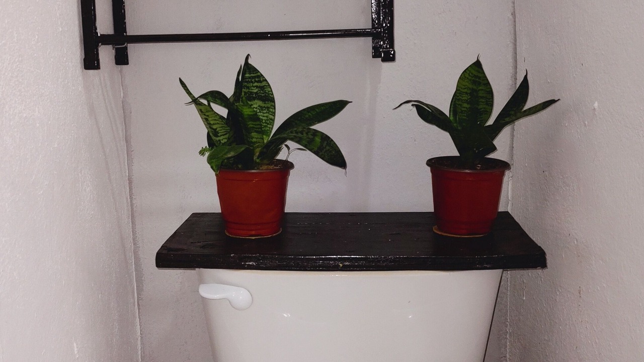Photo of Bathroom in Campeche
