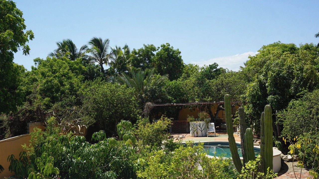 Photo of Outdoor in Cabo San Lucas