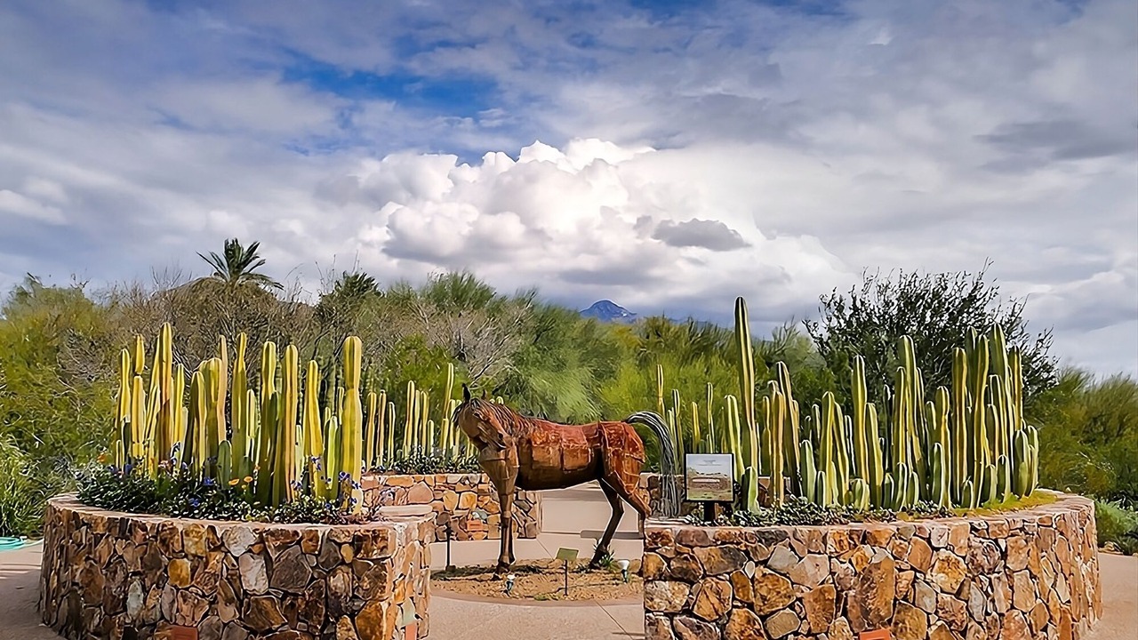 Photo of Others in Tucson
