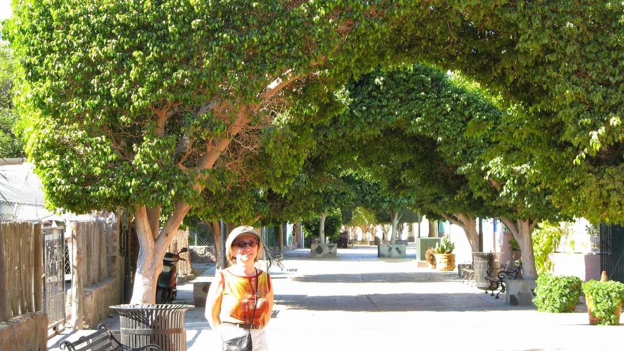 Photo of Others in El Marasal