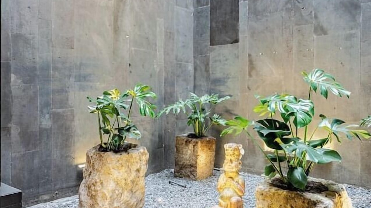 Photo of Outdoor in La Condesa