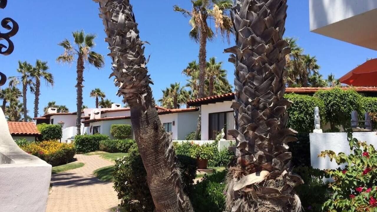 Photo of Outdoor in Rosarito