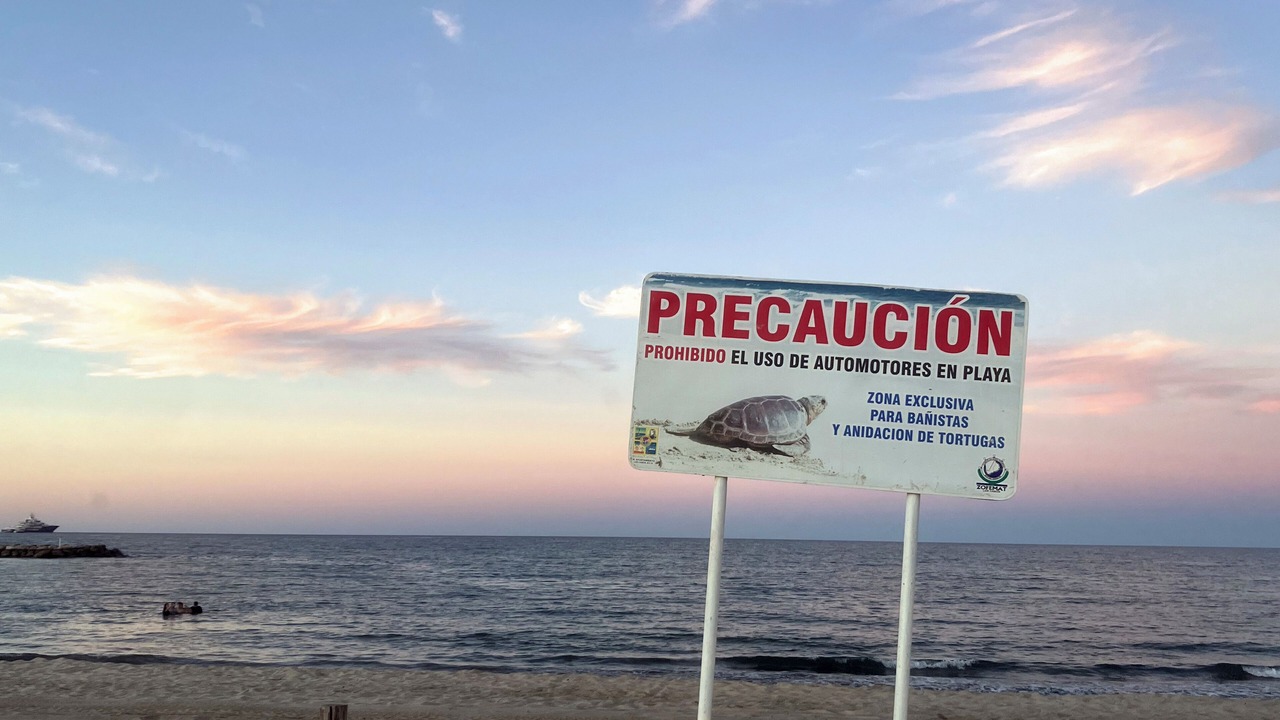 Photo of Others in La Ribera
