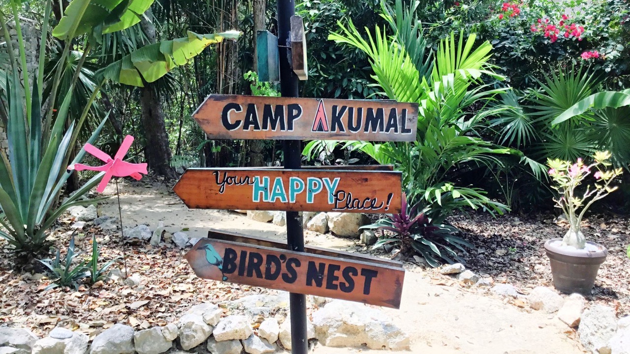 Photo of Others in Akumal