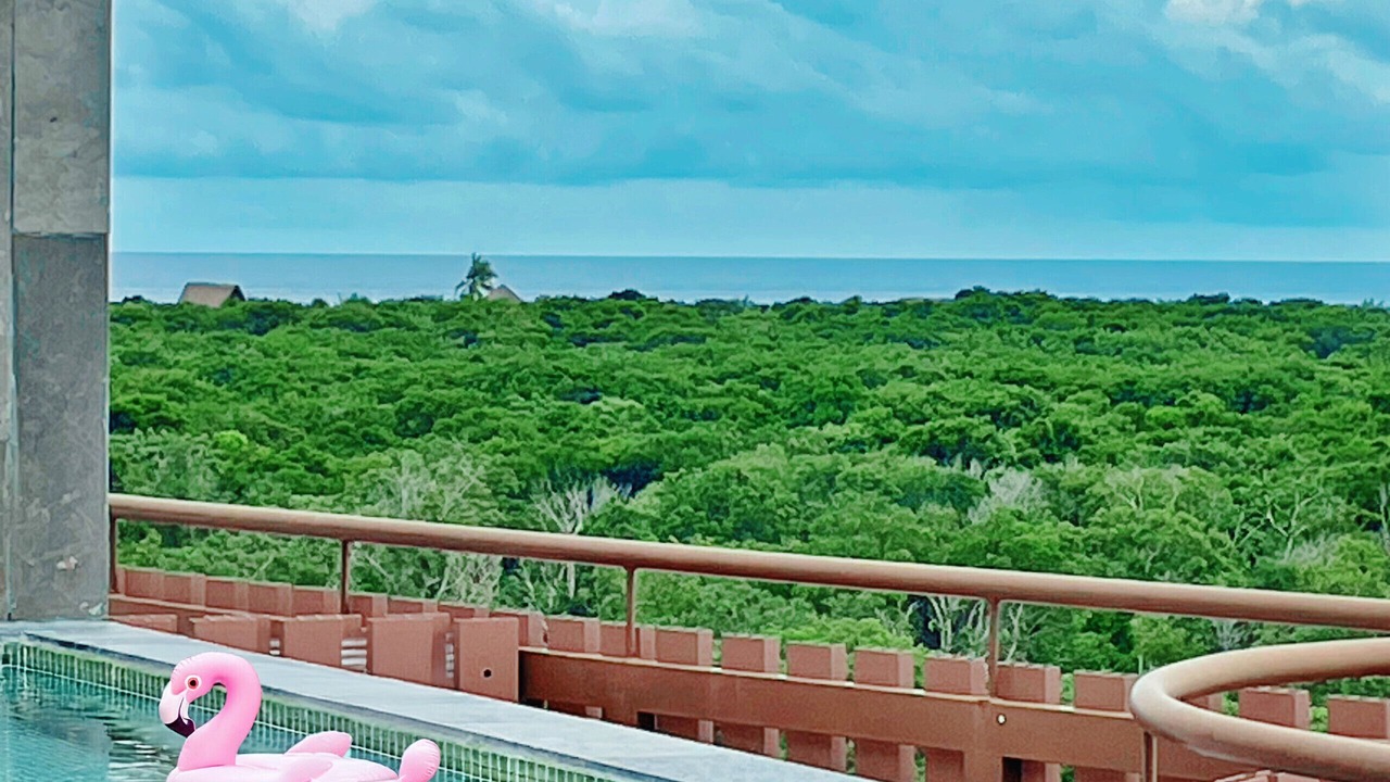 Photo of Outdoor in Playa Paraiso