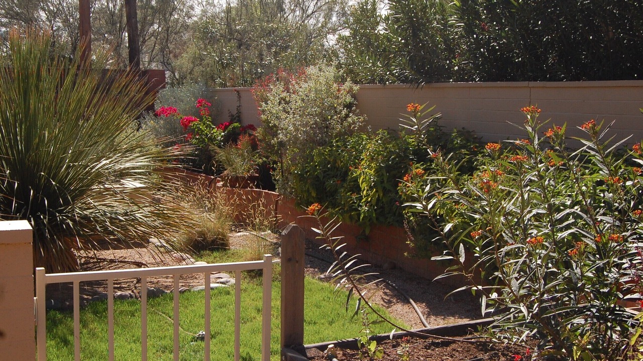 Photo of Outdoor in Peter Howell