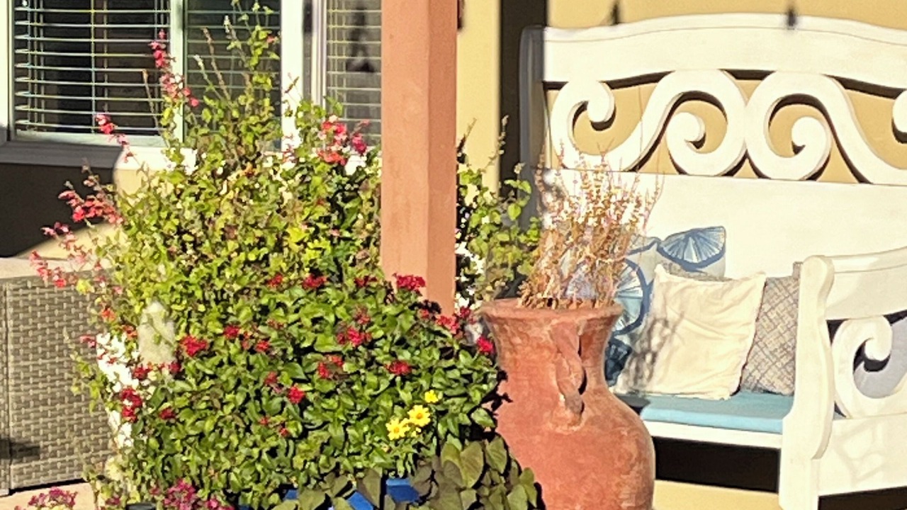 Photo of Patio Balcony in Oracle Heights Estates