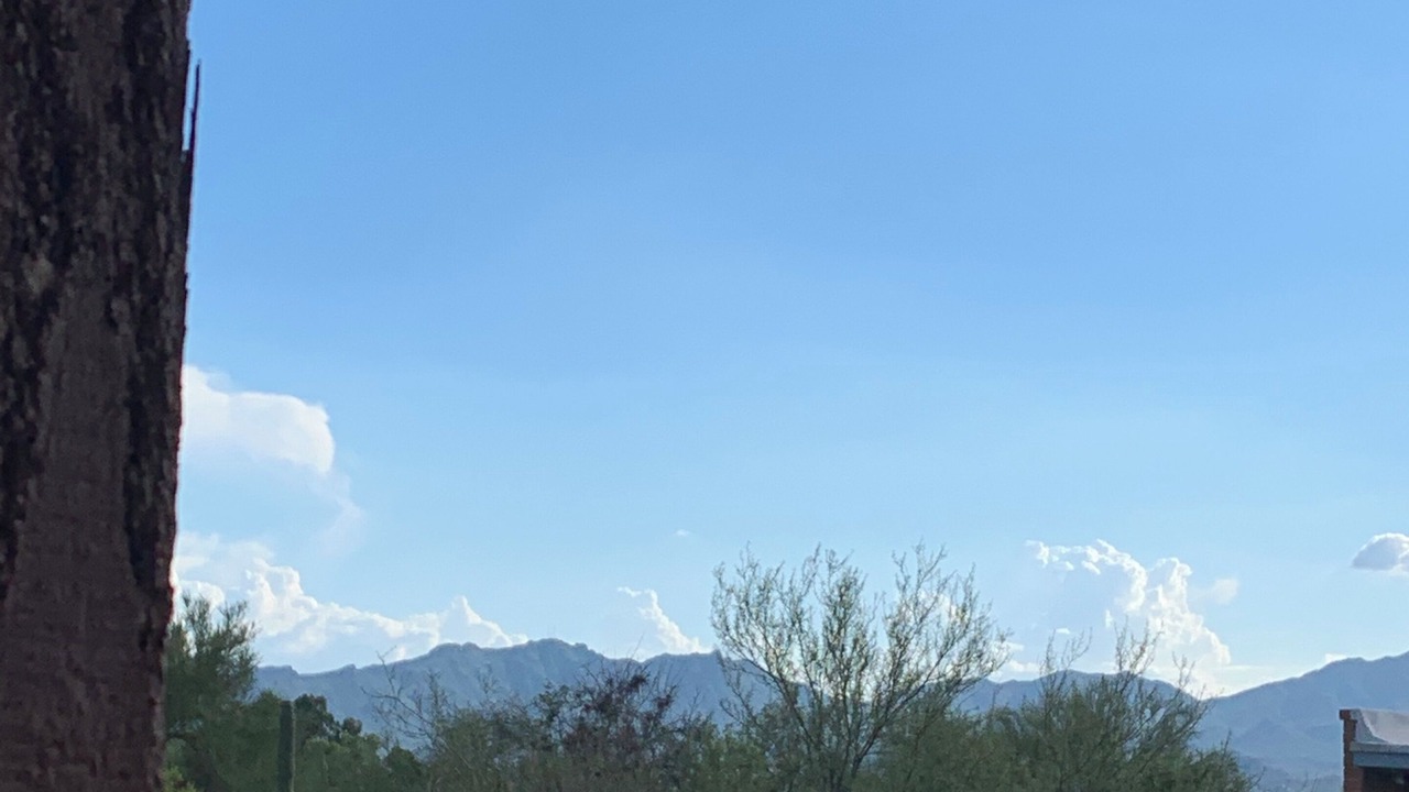 Photo of Outdoor in Oracle Heights Estates