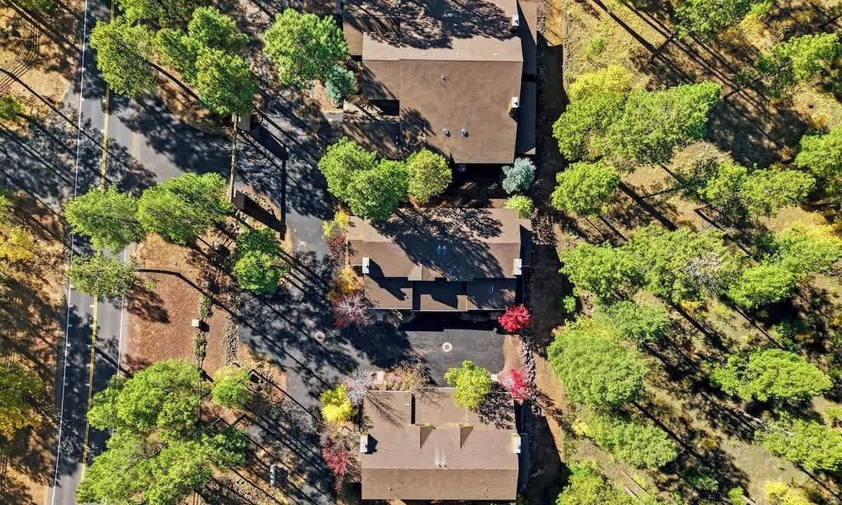 Photo of Others in Pinetop
