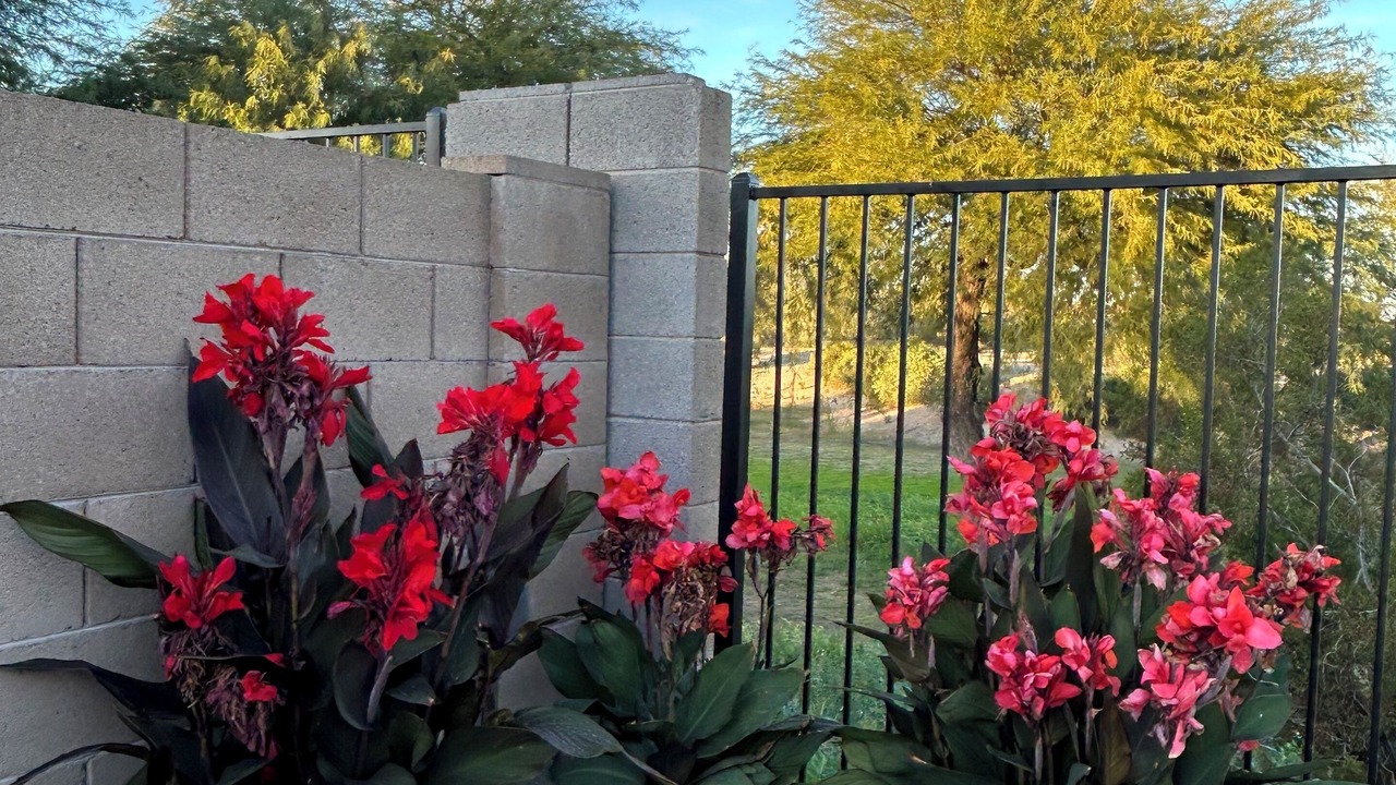 Photo of Outdoor in San Tan Valley