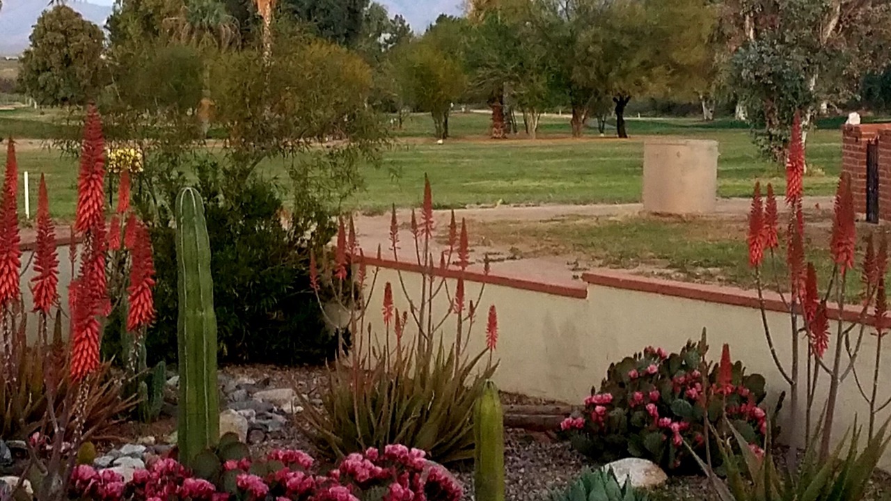 Photo of Outdoor in Green Valley Fairways