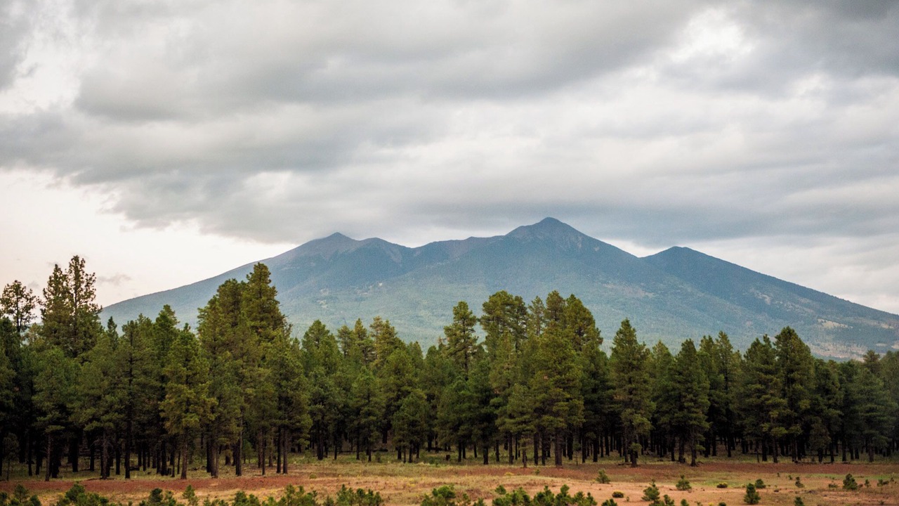 Photo of Others in Coconino Estates