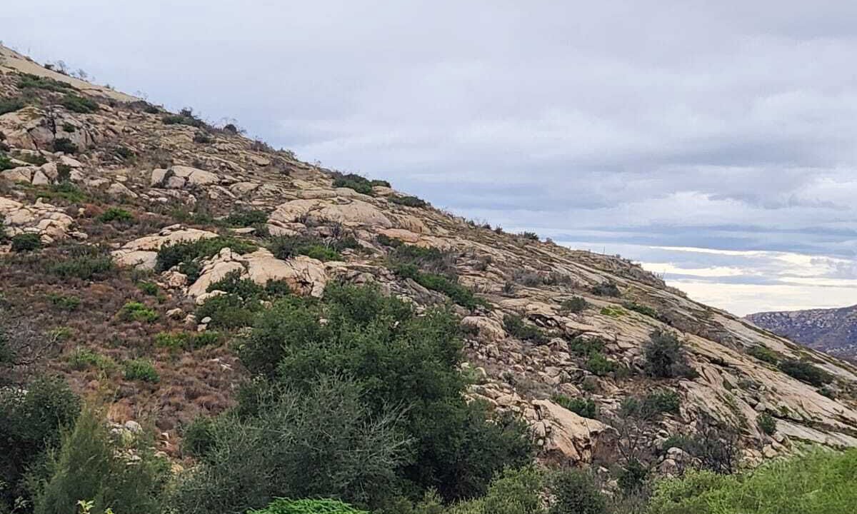 Photo of Others in Tecate Municipality