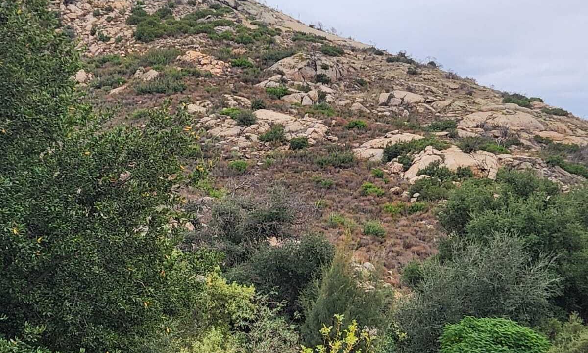 Photo of Others in Tecate Municipality