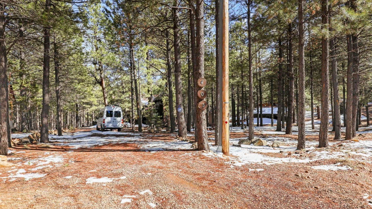 Photo of Outdoor in Heber