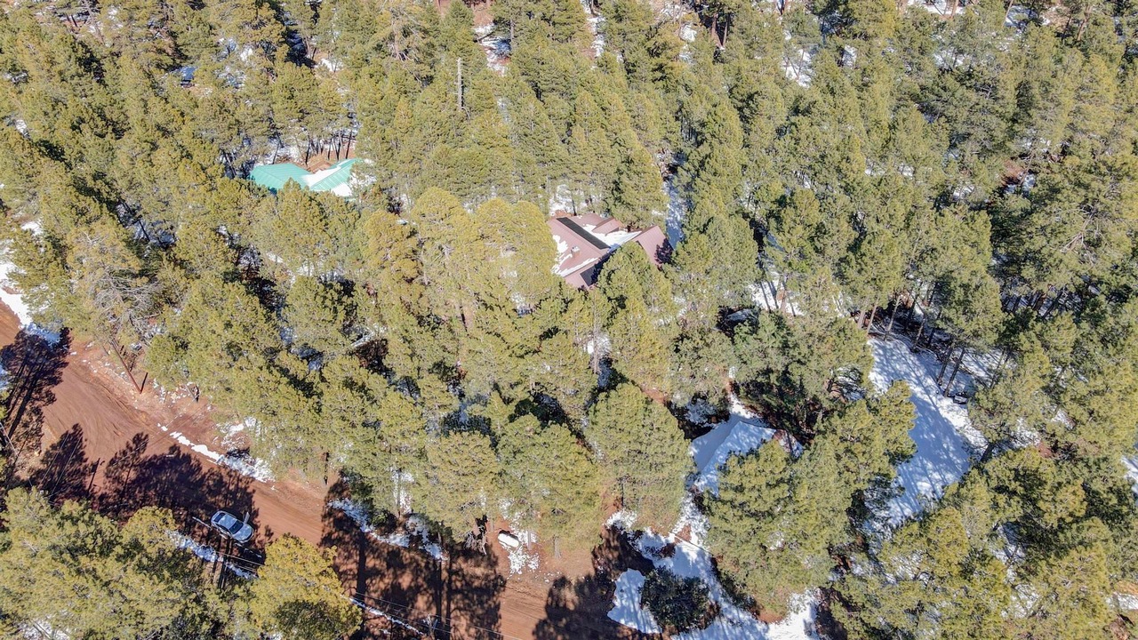 Photo of Outdoor in Heber